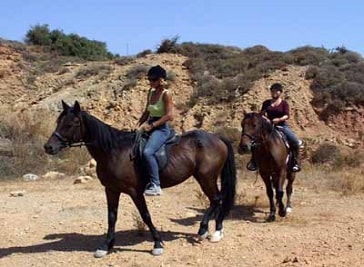 Alfa-Horse in Kos