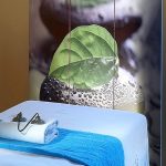 Beauty and Spa