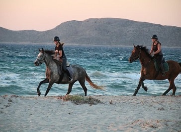 Erika's Horse Farm in Kos