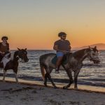 Horseride Trips