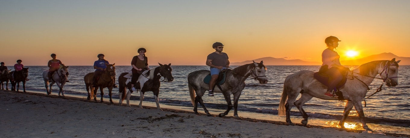 Horseride Trips