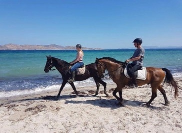 Lake Stables in Kos