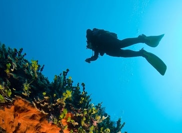 Liamis Dive Centre in Kos