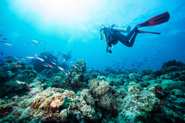 Scuba Diving Experiences in Kos