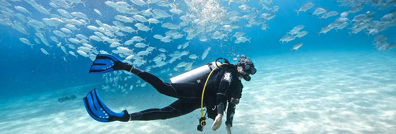Scuba Diving Experiences
